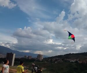 PINOS