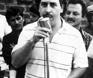 wilsonvira