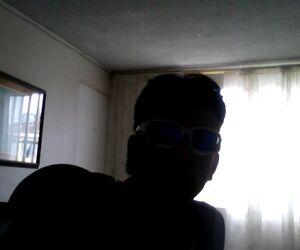 stiven v