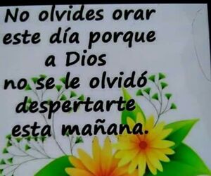 Breiner