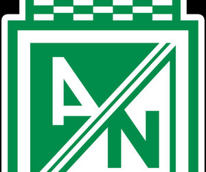 Andres Madrid