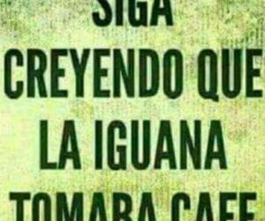 Juan David