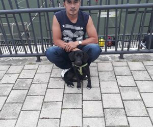 Oscar guerrero