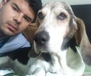 Carlos Andres 