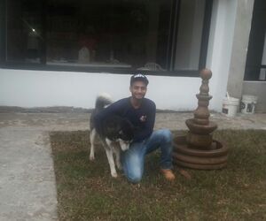 Luis