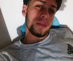 david