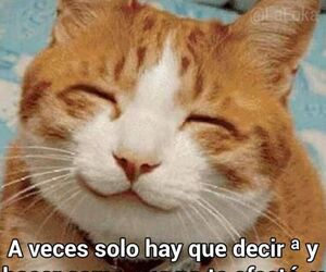 Felipe
