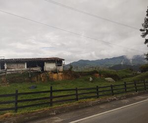 Luis Loaiza