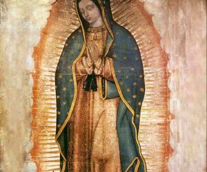 Posada24