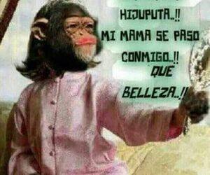 MENPAIXA