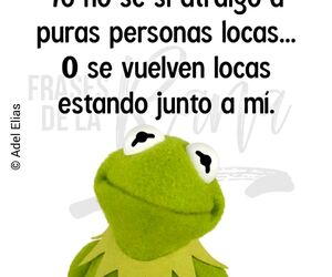Joha