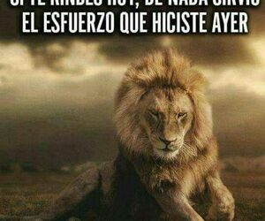 Andres