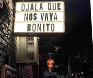 Aleja