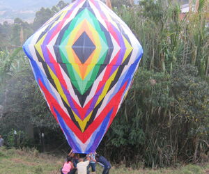 tavo colorado